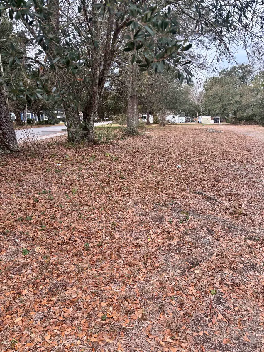 TBD Racepath Ave., Conway, SC 29527 - Image #2