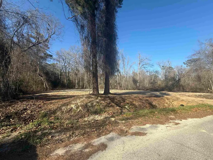 Sunset Dr., Conway, SC 29526 - Image #3