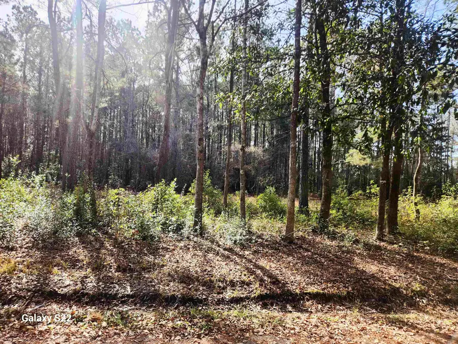 TBD Franklin St., Loris, SC 29569 - Image #3