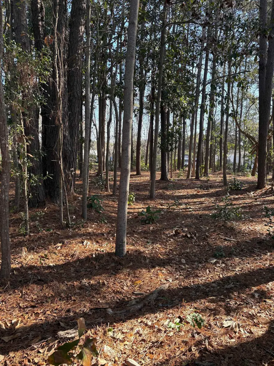 TBD Mineola Ave., Little River, SC 29566 - Image #2