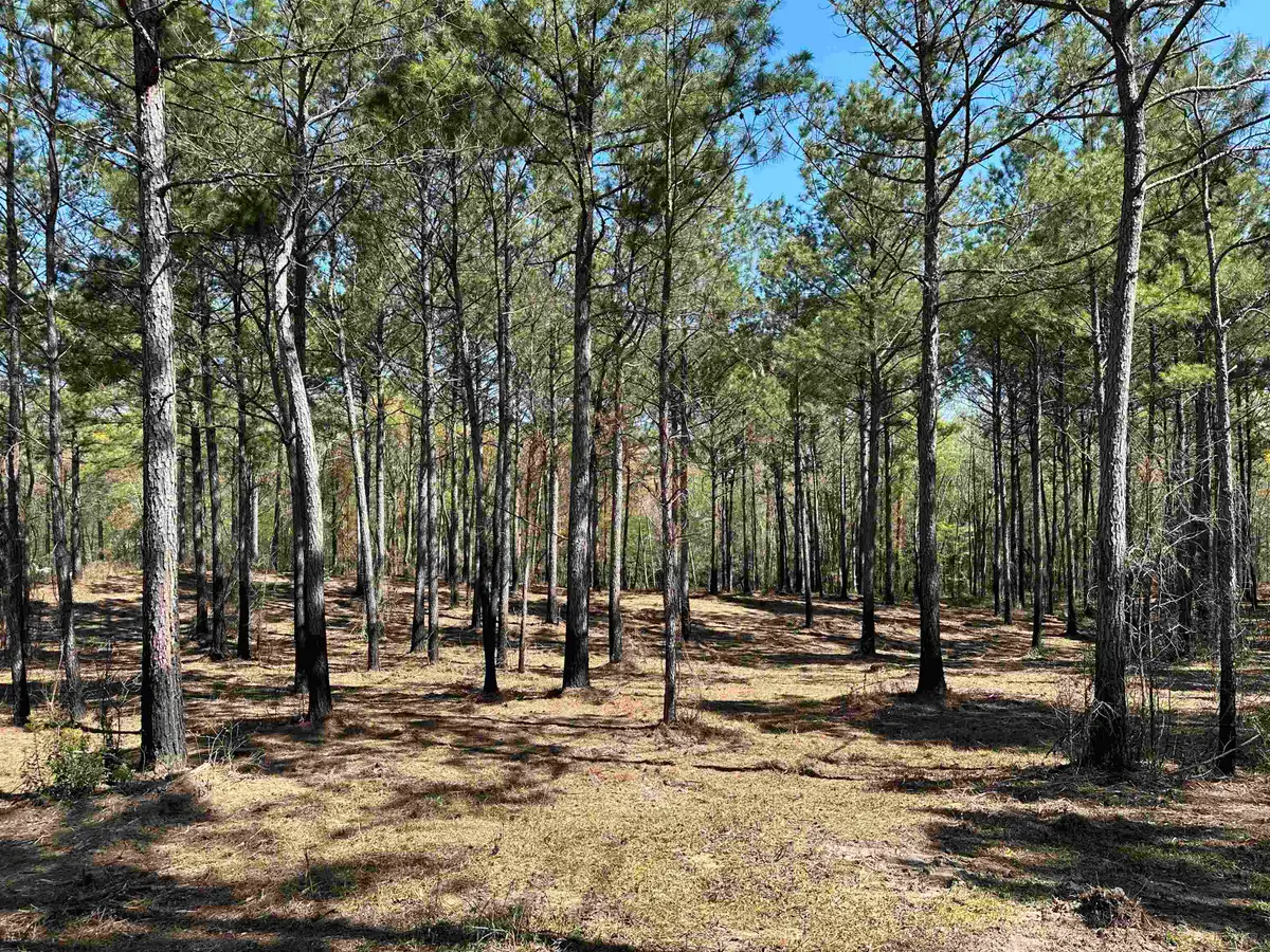 Lot 6 - TBD Old Camp Ln., Salters, SC 29590 - #1