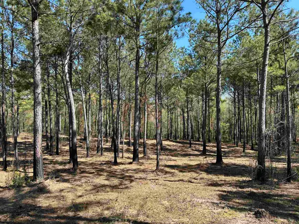 Lot 6 - TBD Old Camp Ln., Salters, SC 29590