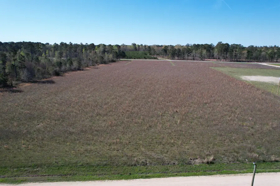 Lot 34-TBD Gulley Ln., Salters, SC 29590 - #2