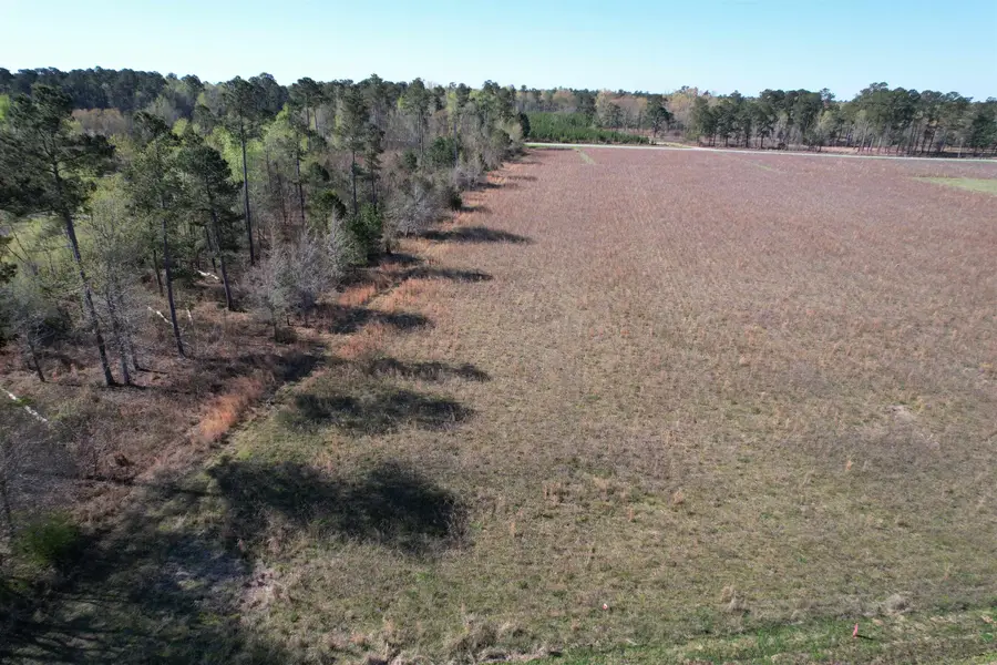 Lot 34-TBD Gulley Ln., Salters, SC 29590 - #3