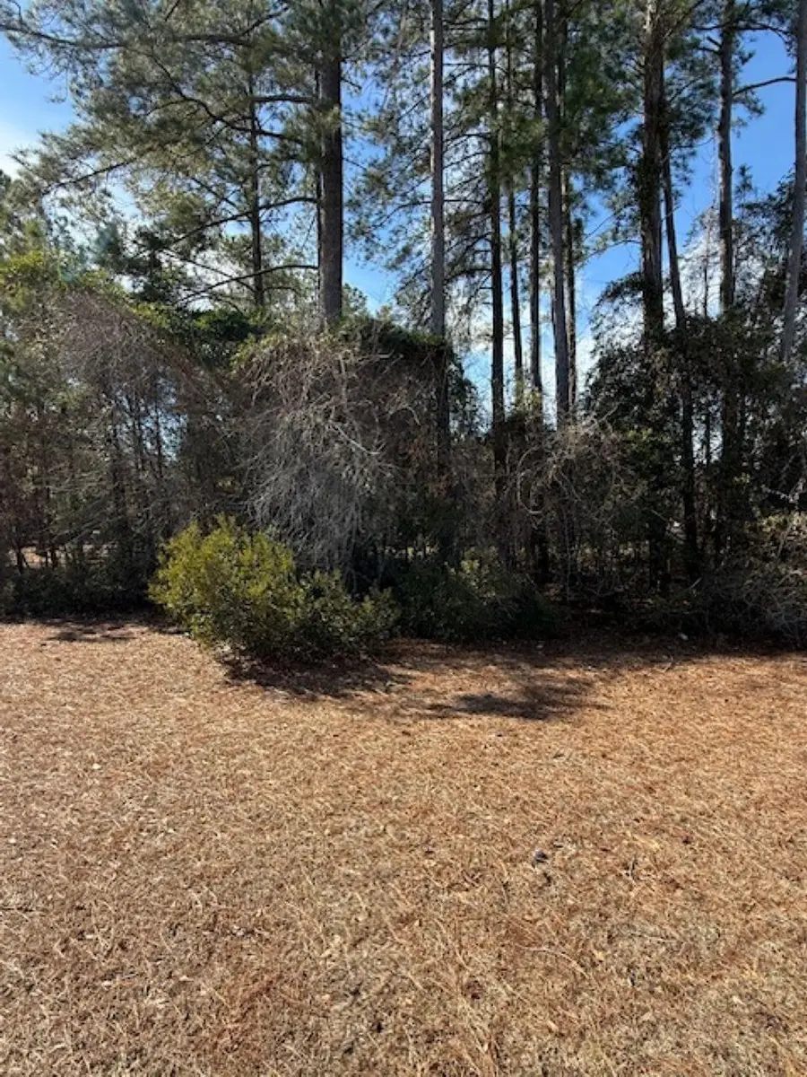 2001 Spring Valley Ct., Loris, SC 29569 - #2