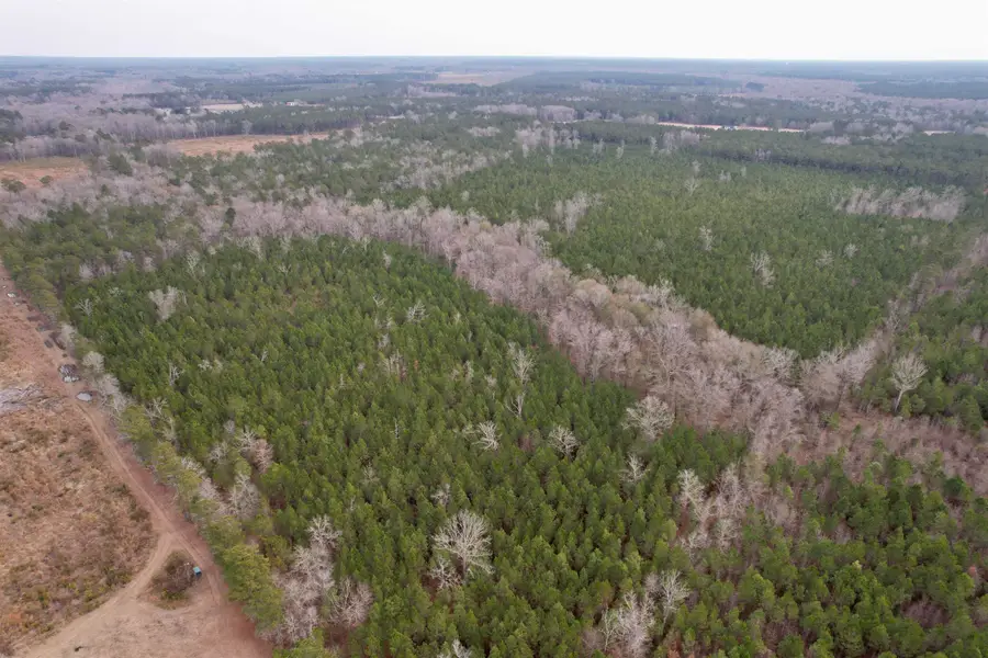106.6 Acres-TBD Highway 52, Salters, SC 29590 - #2
