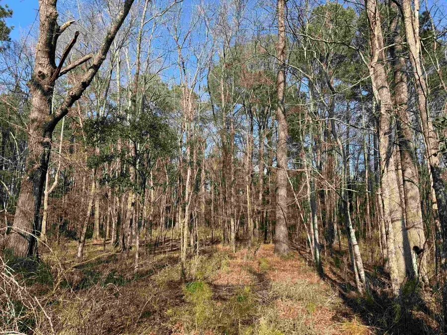 23.30 Acres-TBD Dainty Ave, Kingstree, SC 29556 - #2