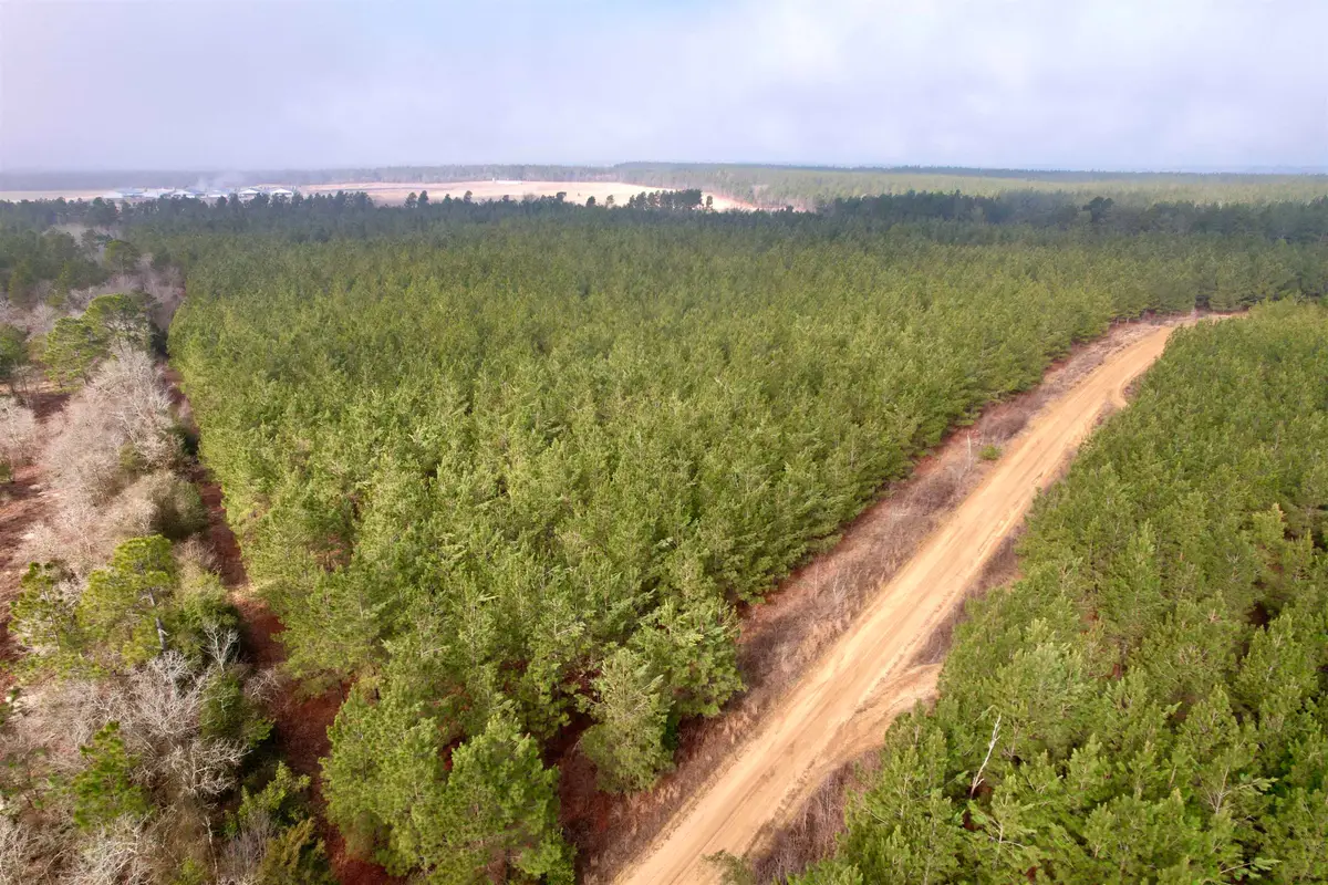 25.93Acres-4567 Dunham Rd, Bethune, SC 29009 - #1