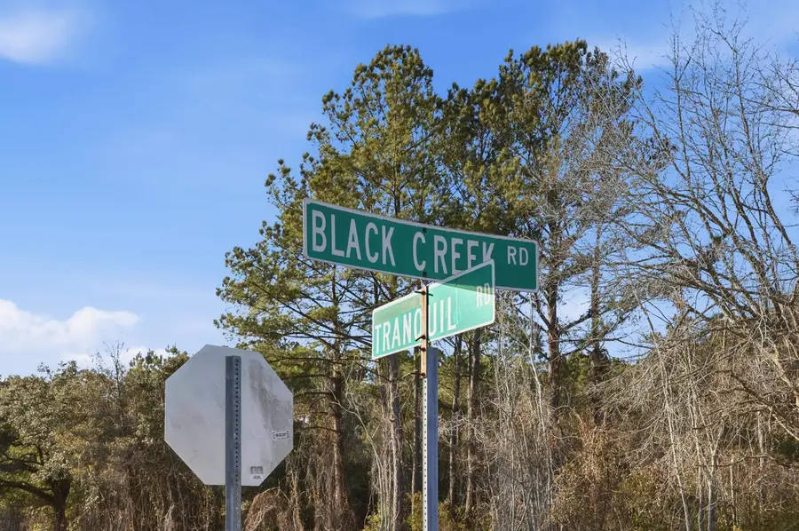 TBD Black Creek Rd., Nichols, SC 29581 - Image #2