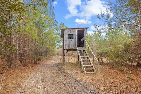 TBD 183 Acres Blakely Rd., Salters, SC 29590