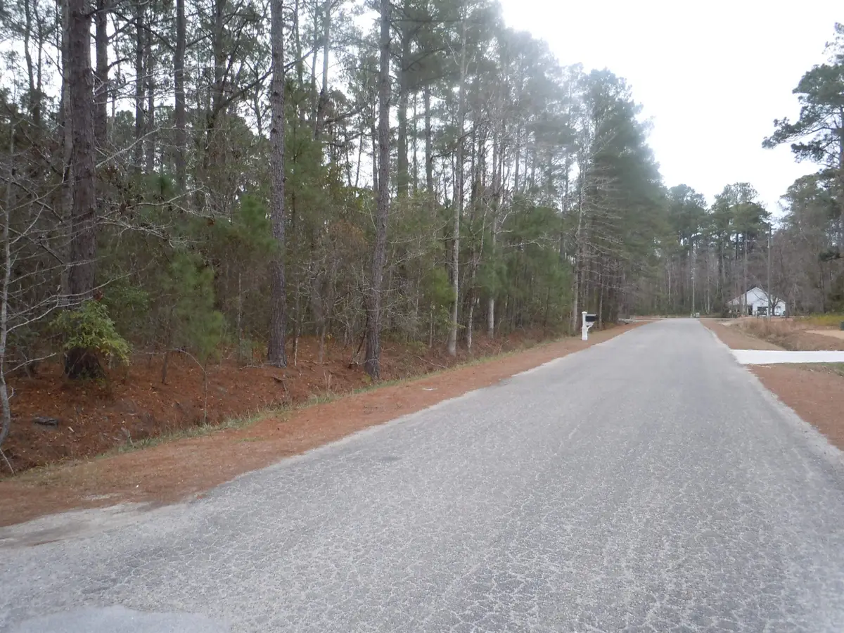 556 Briarwood Dr. Nw, Calabash, NC 28467 - Image #1