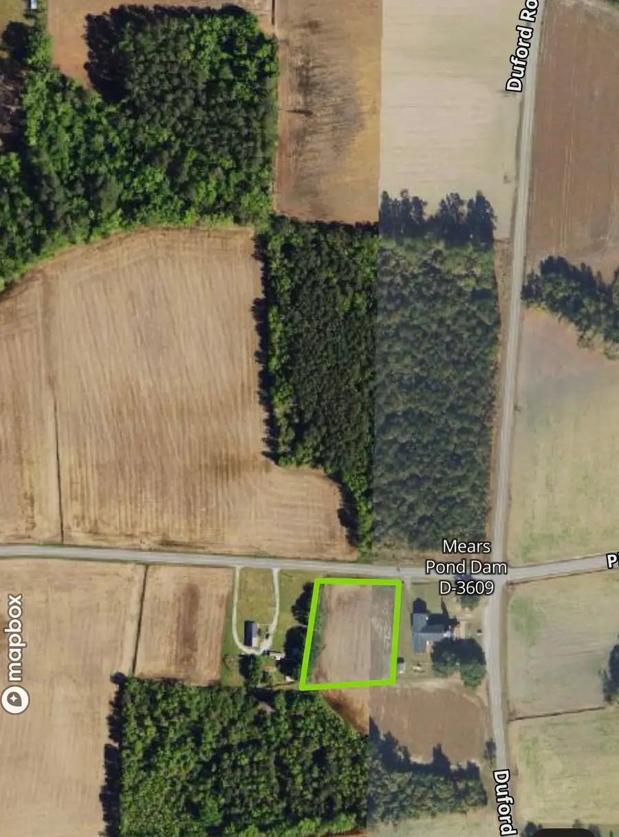 TBD Pinckney Rd., Nichols, SC 29581 - #2