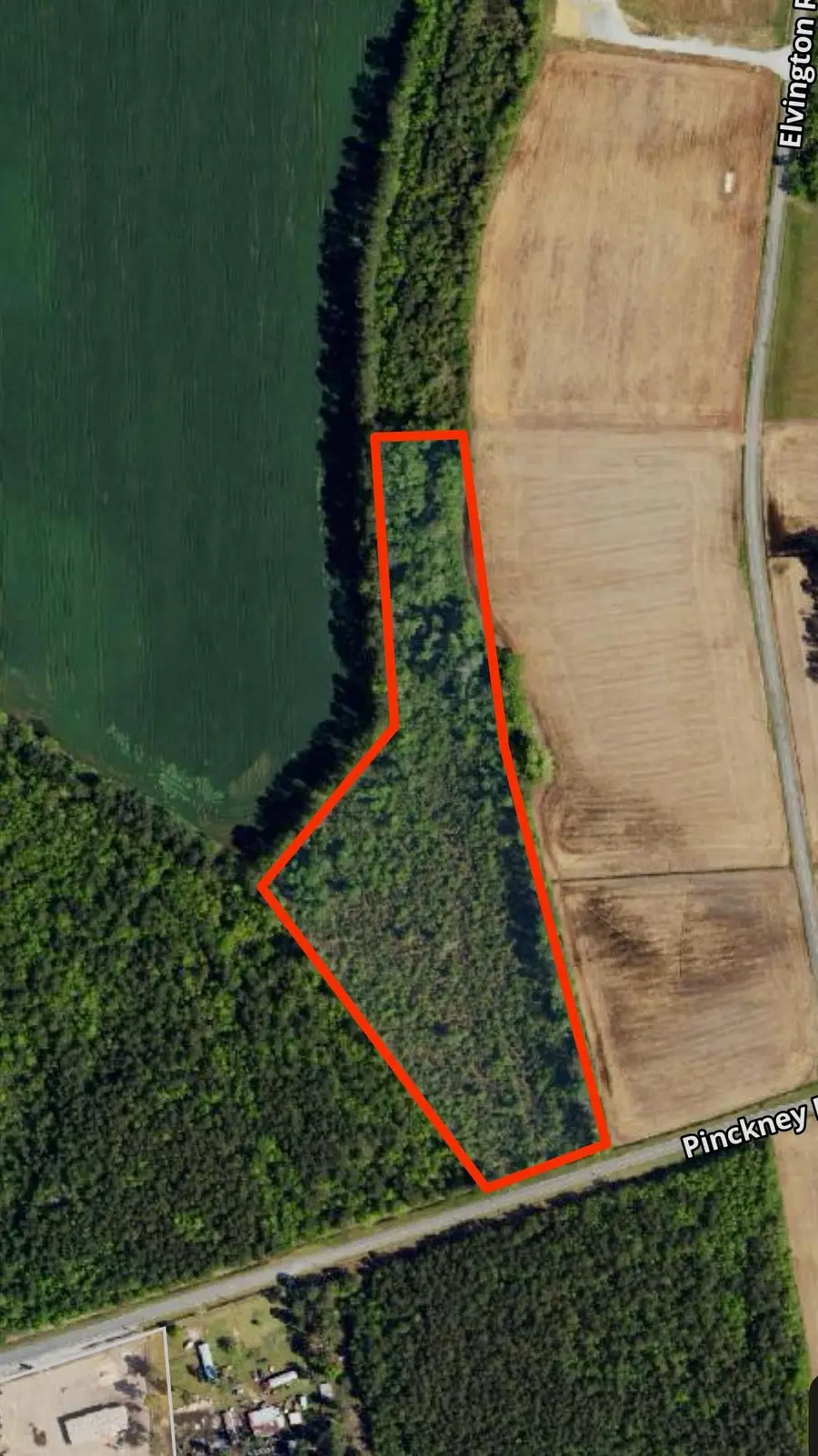 tbd Pinckney Rd., Nichols, SC 29581 - #2