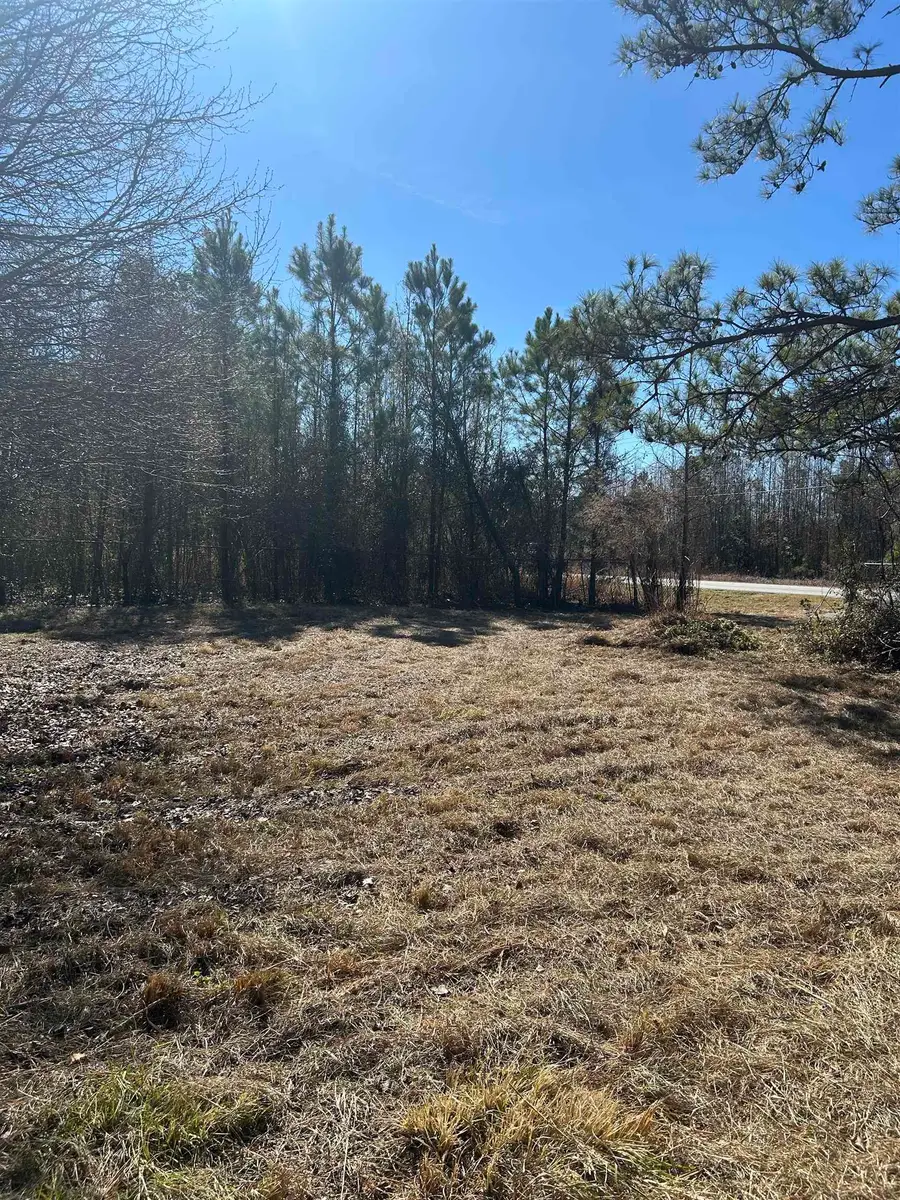 2047 Martin Luther King Jr. Hwy., Kingstree, SC 29556 - #3