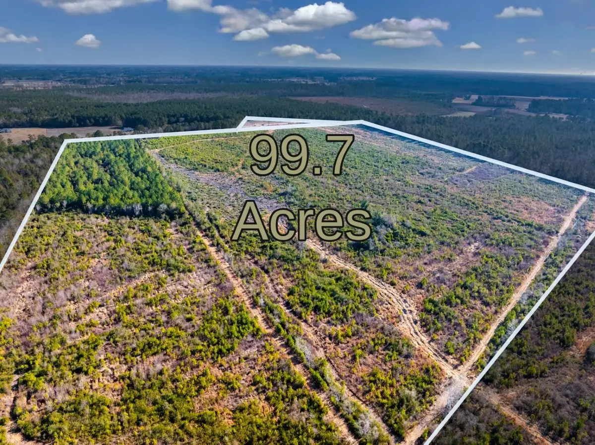 100 Acres Fifteen Mile Bay Rd., Nichols, SC 29581 - #1