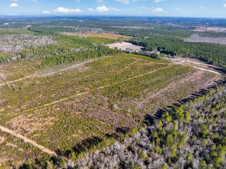 100 Acres Fifteen Mile Bay Rd., Nichols, SC 29581 - #3