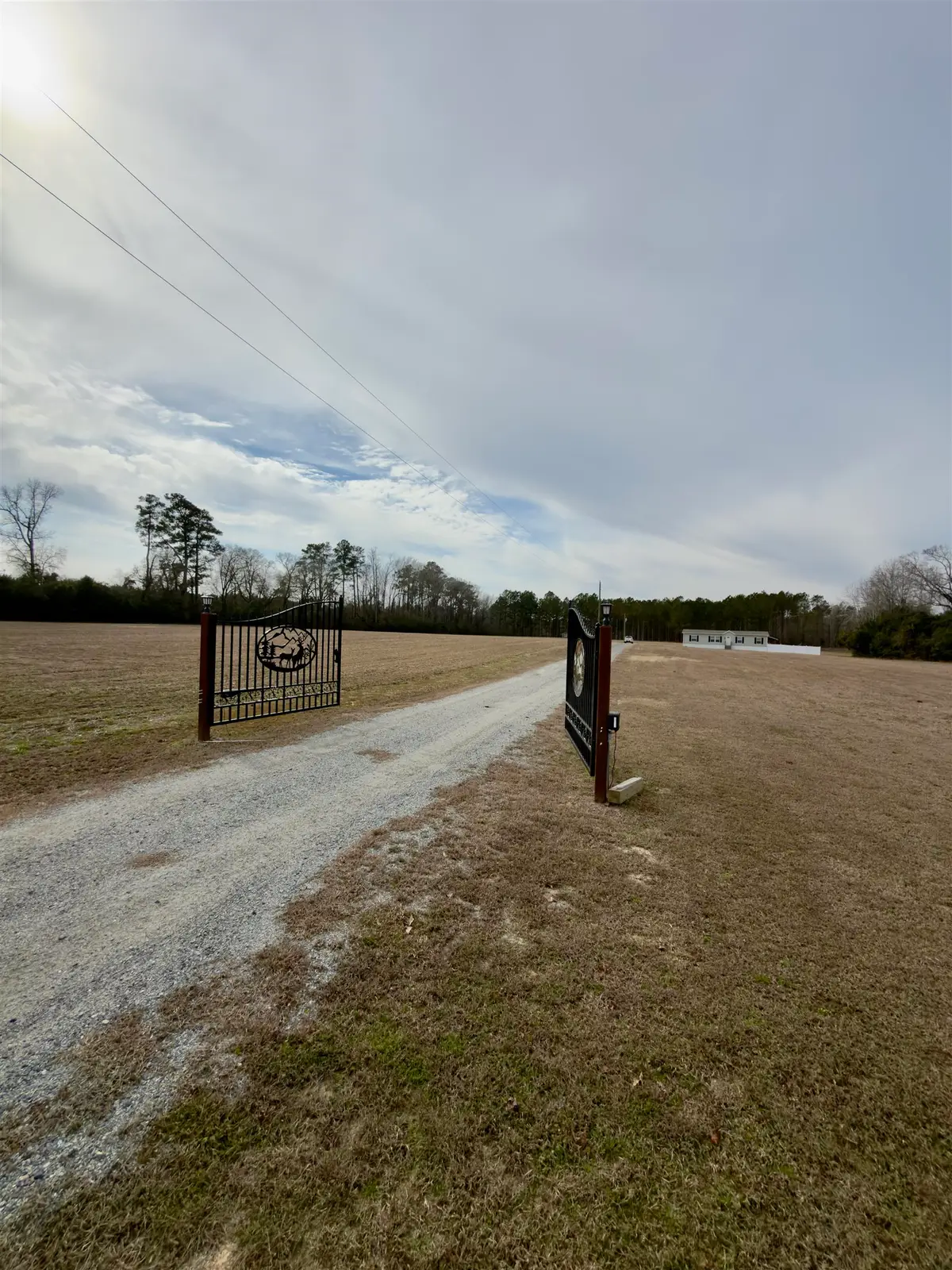 2249 Joann Branch Rd., Lake View, SC 29563 - #1