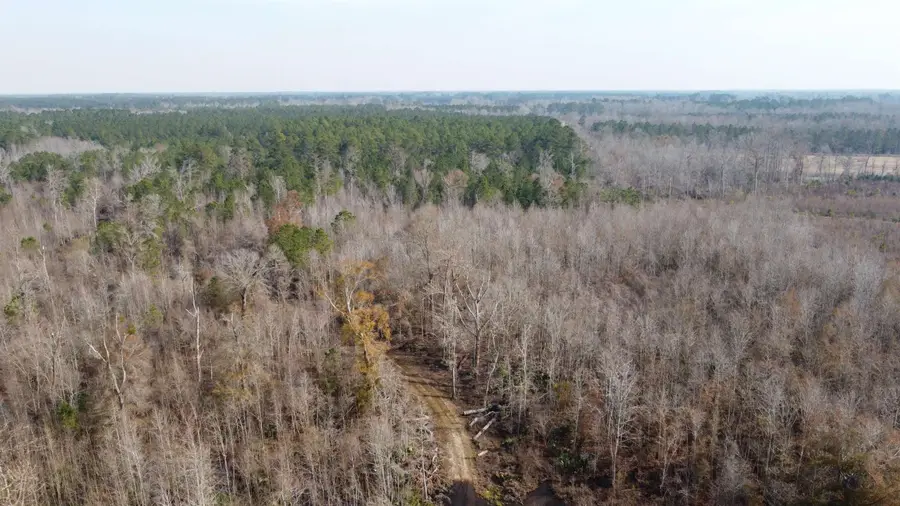 TBD Hunters Chapel Rd, Ehrhardt, SC 29081 - #3