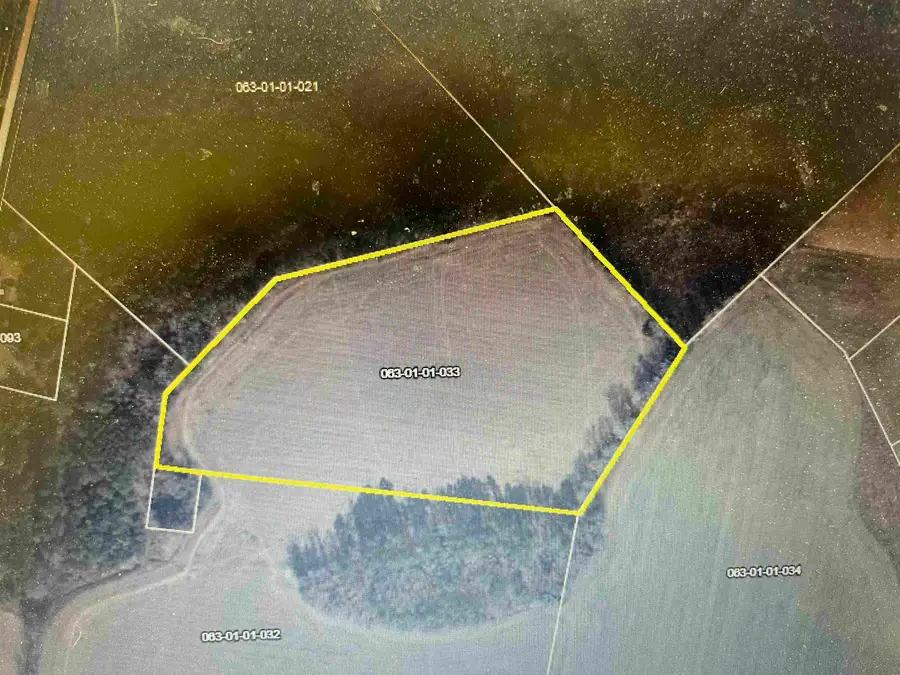 000 Wolftrap Ln, Blenheim, SC 29516 - #2