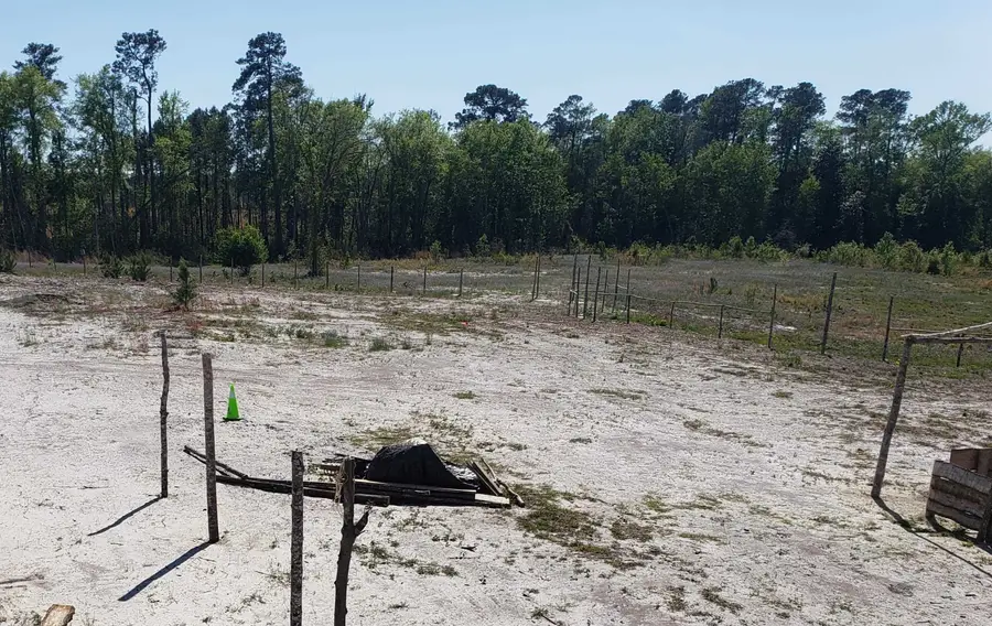 7683 Dock Ridge Rd., Galivants Ferry, SC 29544 - #2