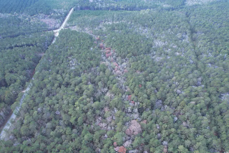 Tract D - TBD Pennyroyal Rd., Georgetown, SC 29440 - #2