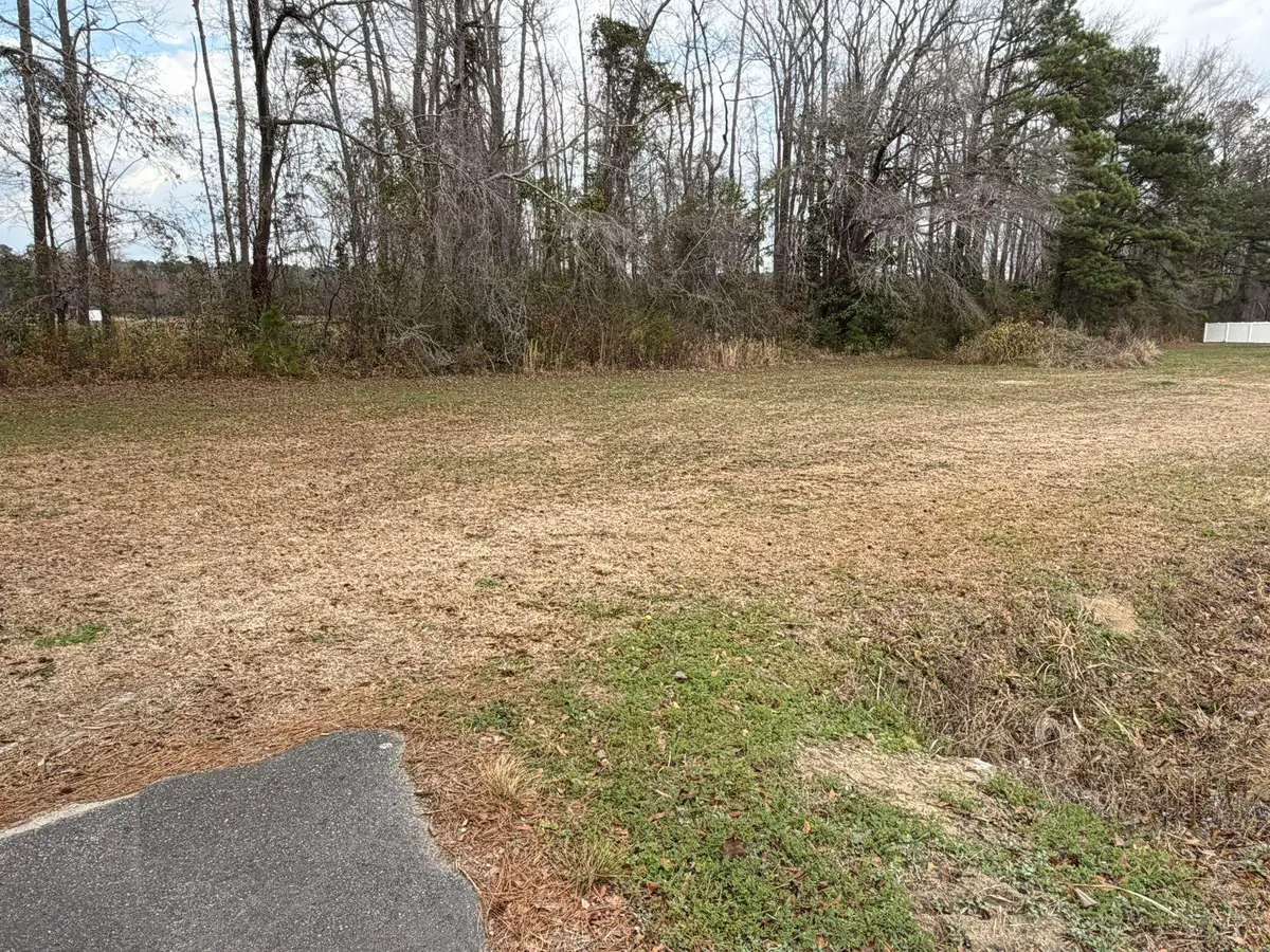 TBD Neil Branch Rd., Loris, SC 29569 - #1
