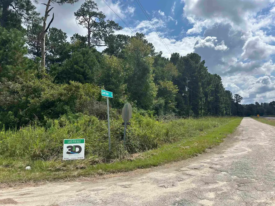 TBD Millers Rd., Mullins, SC 29574 - #2