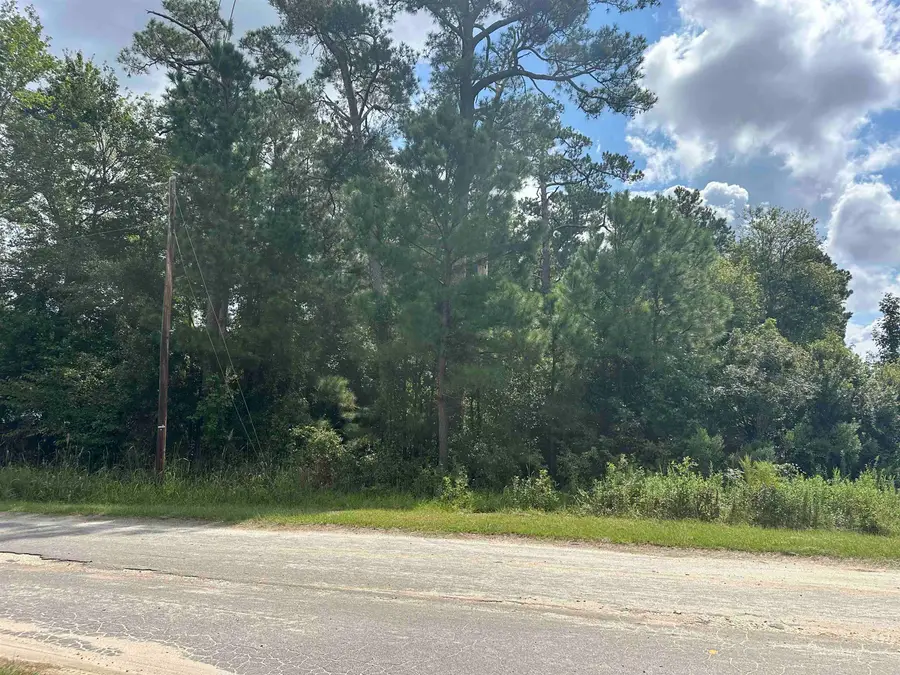 TBD Millers Rd., Mullins, SC 29574 - #3