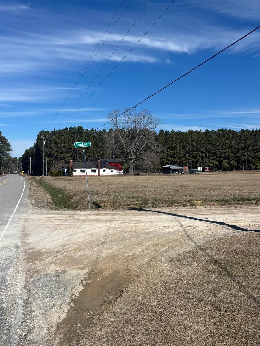 TBD-- Grassy Bay Dr., Green Sea, SC 29545 - #2