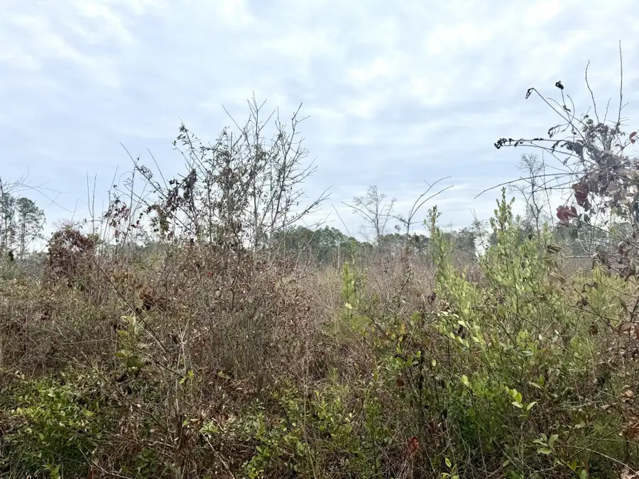 TBD Pint Circle, Longs, SC 29568 - #2