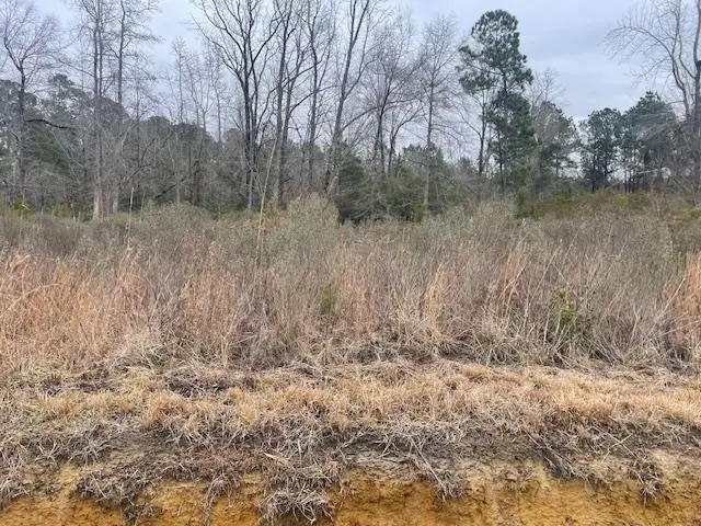 3137 Deer Creek Dr., Loris, SC 29569 - #2