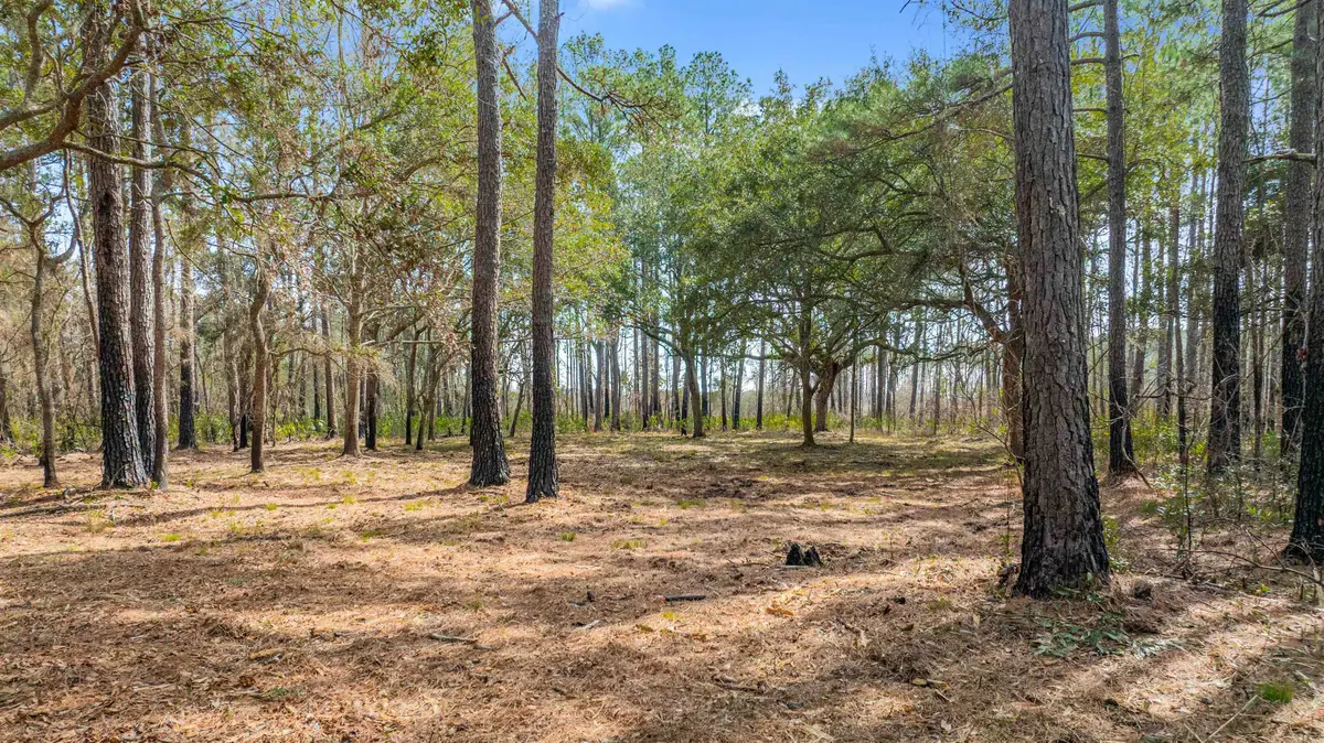 2630 Vanderbilt Blvd., Pawleys Island, SC 29585 - #1