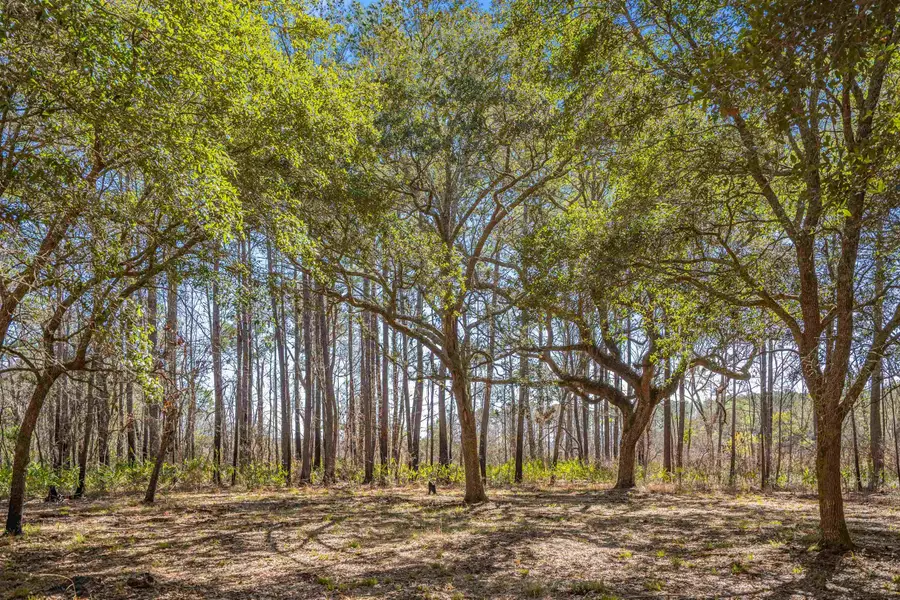 2630 Vanderbilt Blvd., Pawleys Island, SC 29585 - #2