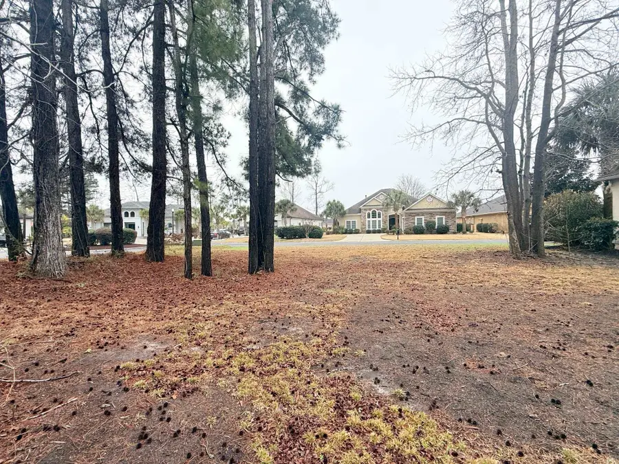 8012 Bird Key Ct., Myrtle Beach, SC 29579 - #3