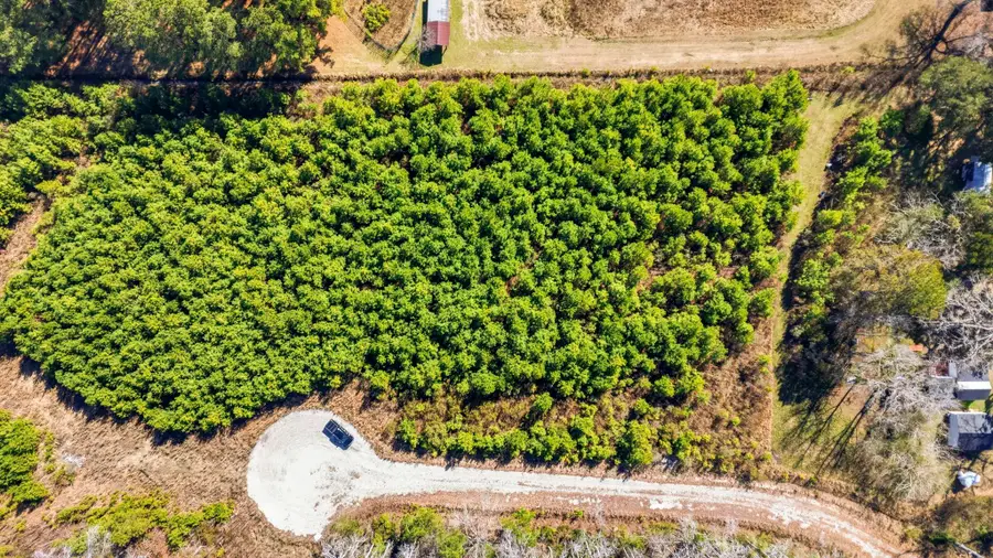 TBD LOT 5 Old Reaves Ferry Rd., Conway, SC 29526 - #3