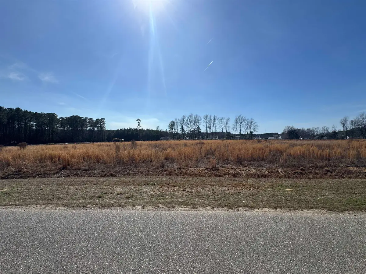 4.4 Acs Night Owl Ln., Conway, SC 29527 - #1