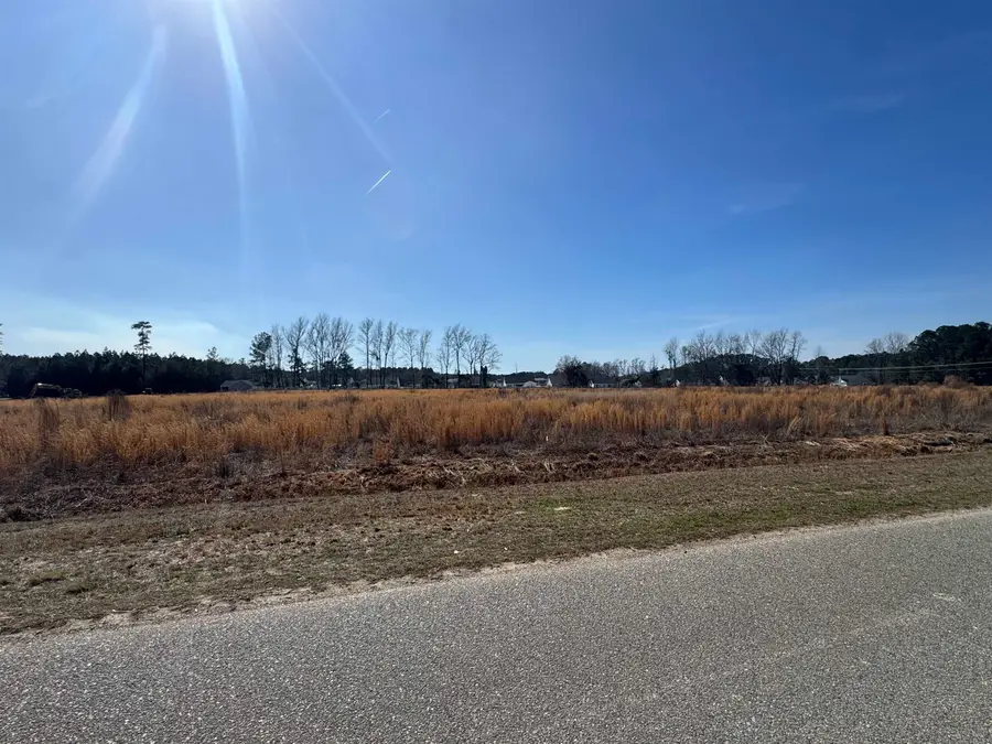 4.4 Acs Night Owl Ln., Conway, SC 29527 - #2