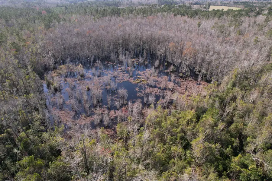 TBD I M Graham Rd., Kingstree, SC 29556 - #3