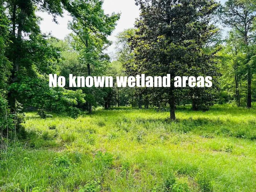 9985 Highway 17 North, McClellanville, SC 29458 - #3