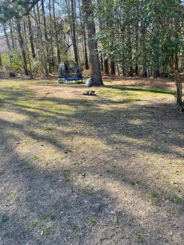 TBD Lomax Ct., Murrells Inlet, SC 29576