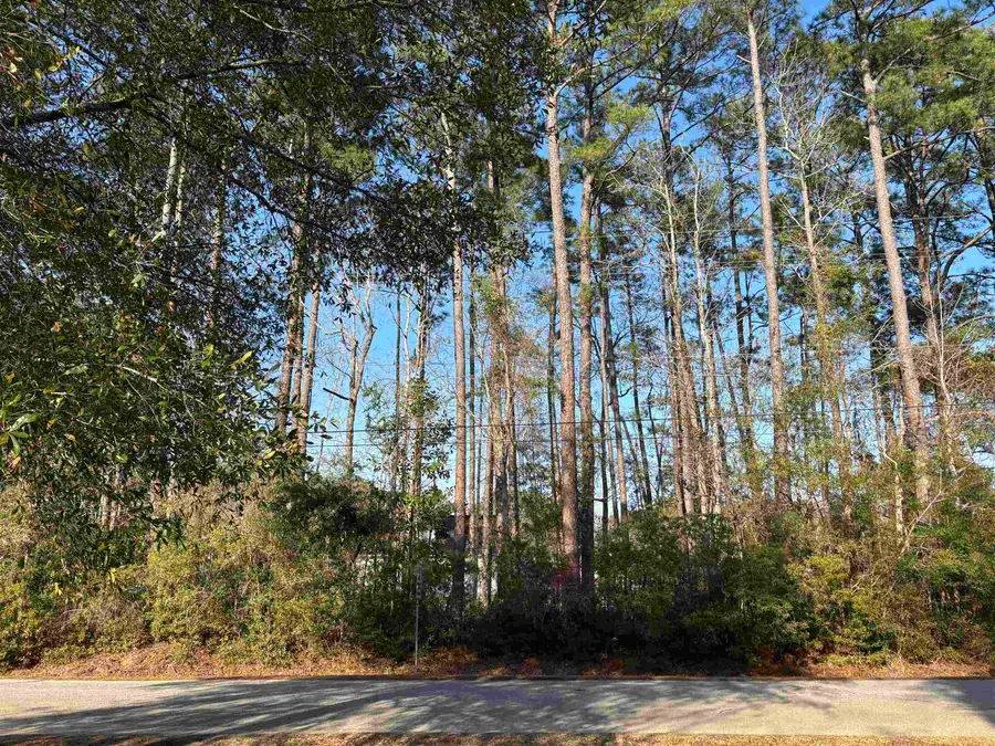 867 Kings River Rd., Pawleys Island, SC 29585 - #3