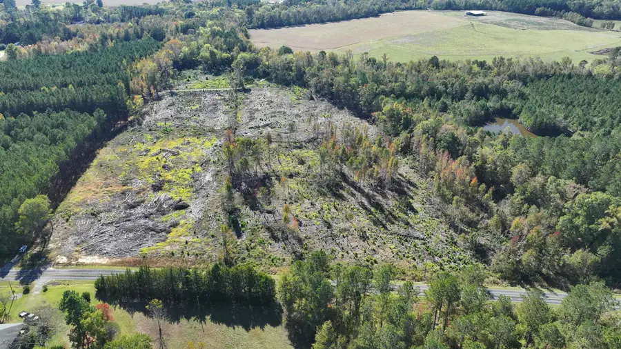 16.62 Acres-TBD E Bay Rd., Gresham, SC 29546 - #2