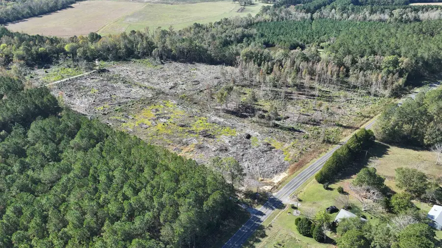 16.62 Acres-TBD E Bay Rd., Gresham, SC 29546 - #3