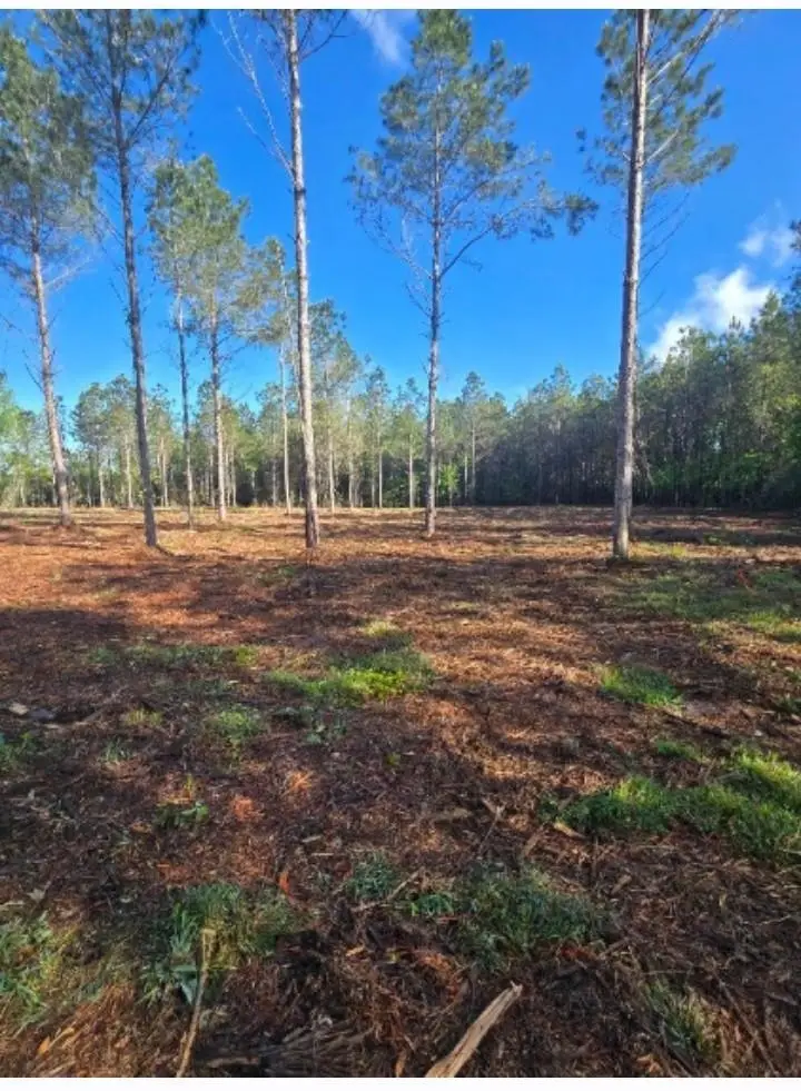 1513 Oakdale Rd., Loris, SC 29569 - #1