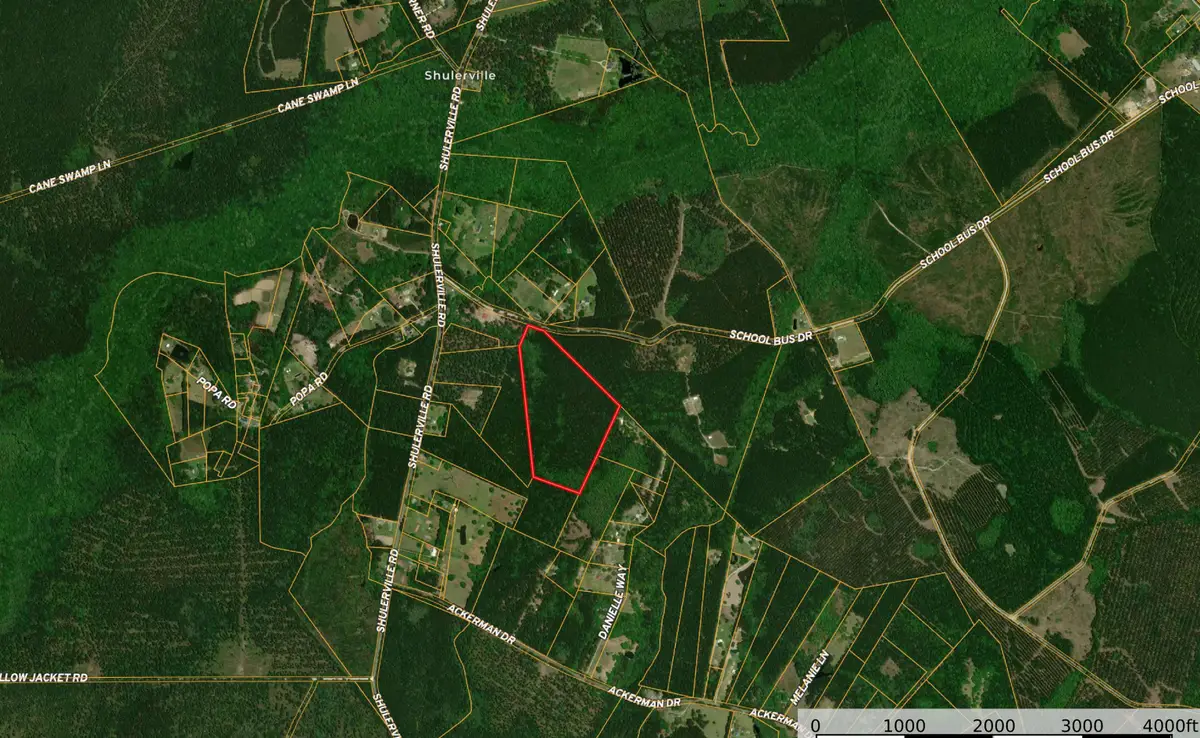 0 School Bus Rd, Jamestown, SC 29453 - #1