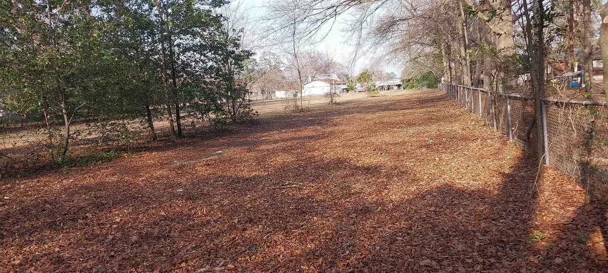 Lot 2 B&C Browns Creek Rd., Latta, SC 29565 - #1