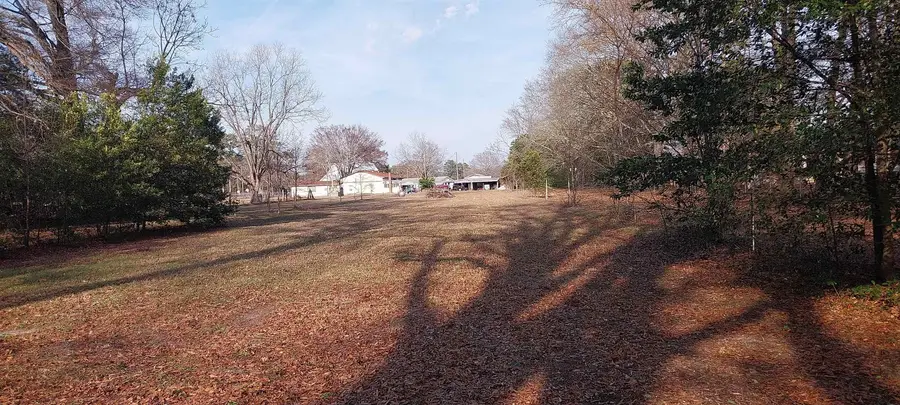 Lot 2 B&C Browns Creek Rd., Latta, SC 29565 - #3