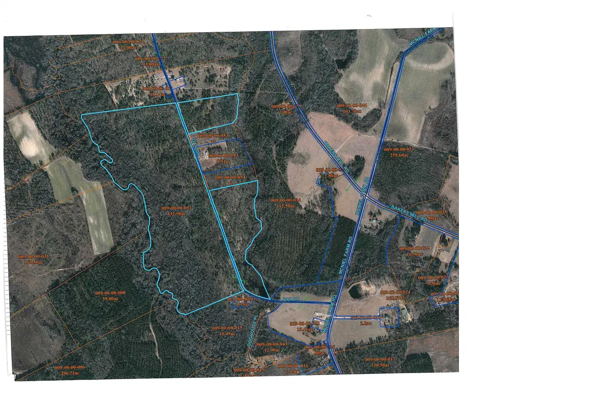 TBD Dan Dr, Hamer, SC 29547 - #1
