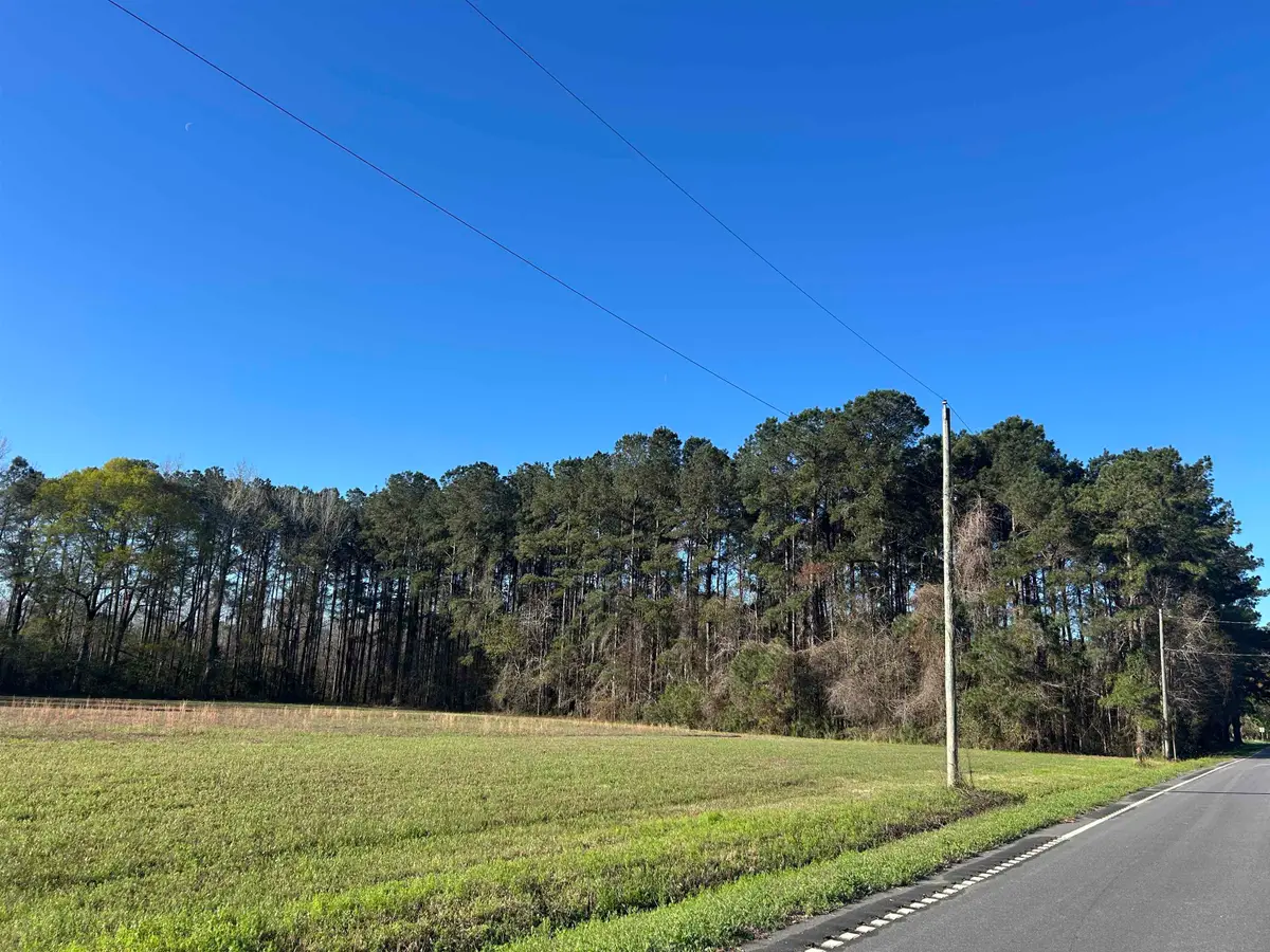 TBD Bucksville Dr., Conway, SC 29527 - #1