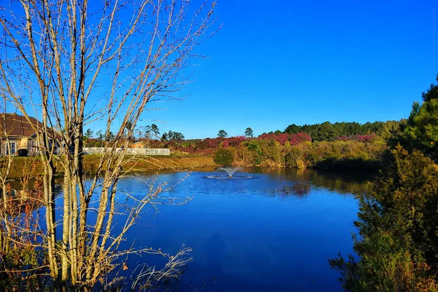 407 Big Woods Ct., Myrtle Beach, SC 29588 - #2